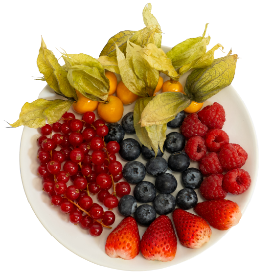 Ein weißer Teller mit einer bunten Auswahl an frischen Beeren und Physalis.
